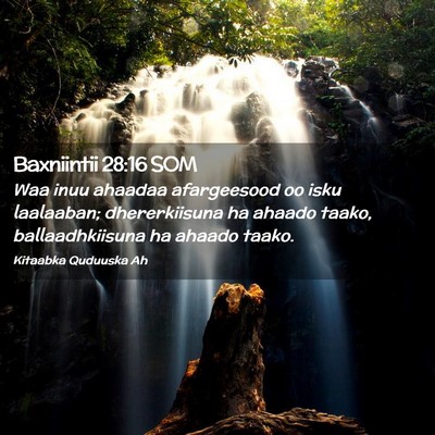 Picture 02 - Baxniintii 28:16 SOM - Waa inuu ahaadaa afargeesood oo isku laalaaban; - Bible Verse Picture