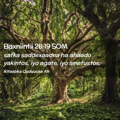 Picture 02 - Baxniintii 28:19 SOM - safka saddexaadna ha ahaado yakintos, iyo agate, - Bible Verse Picture