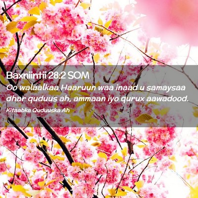 Picture 02 - Baxniintii 28:2 SOM - Oo walaalkaa Haaruun waa inaad u samaysaa dhar - Bible Verse Picture