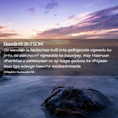 Picture 02 - Baxniintii 28:3 SOM - Oo waxaad la hadashaa kulli inta qalbigooda - Bible Verse Picture