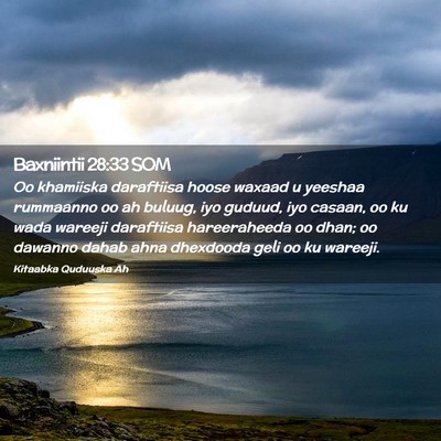 Picture 02 - Baxniintii 28:33 SOM - Oo khamiiska daraftiisa hoose waxaad u yeeshaa - Bible Verse Picture