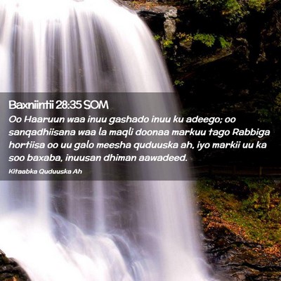 Picture 02 - Baxniintii 28:35 SOM - Oo Haaruun waa inuu gashado inuu ku adeego; oo - Bible Verse Picture