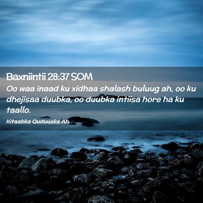 Picture 02 - Baxniintii 28:37 SOM - Oo waa inaad ku xidhaa shalash buluug ah, oo ku - Bible Verse Picture