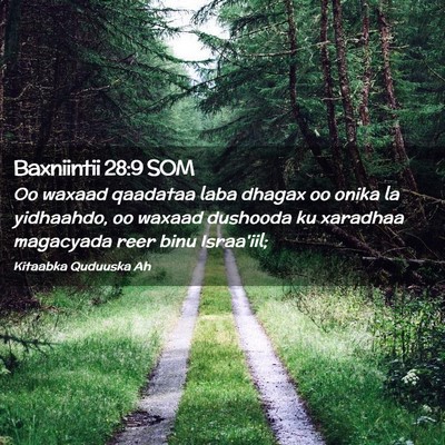 Picture 02 - Baxniintii 28:9 SOM - Oo waxaad qaadataa laba dhagax oo onika la - Bible Verse Picture