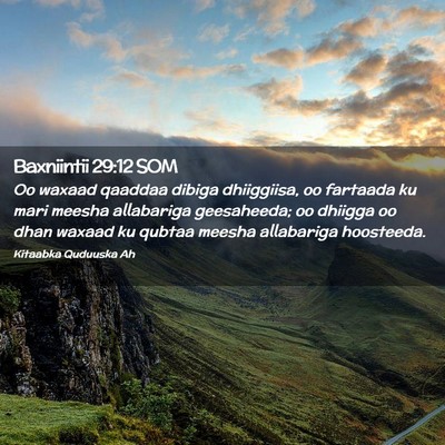 Picture 02 - Baxniintii 29:12 SOM - Oo waxaad qaaddaa dibiga dhiiggiisa, oo fartaada - Bible Verse Picture