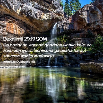 Picture 02 - Baxniintii 29:19 SOM - Oo haddana waxaad qaaddaa wanka kale; oo Haaruun - Bible Verse Picture