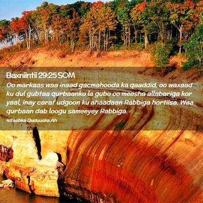 Picture 02 - Baxniintii 29:25 SOM - Oo markaas waa inaad gacmahooda ka qaaddid, oo - Bible Verse Picture