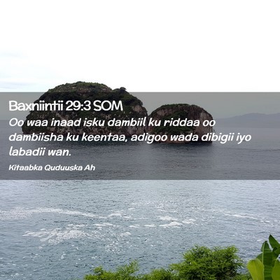 Picture 02 - Baxniintii 29:3 SOM - Oo waa inaad isku dambiil ku riddaa oo dambiisha - Bible Verse Picture
