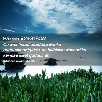 Picture 02 - Baxniintii 29:31 SOM - Oo waa inaad qaaddaa wanka quduuskadhigidda, oo - Bible Verse Picture