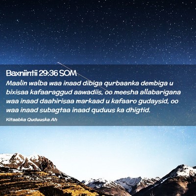 Picture 02 - Baxniintii 29:36 SOM - Maalin walba waa inaad dibiga qurbaanka dembiga u - Bible Verse Picture