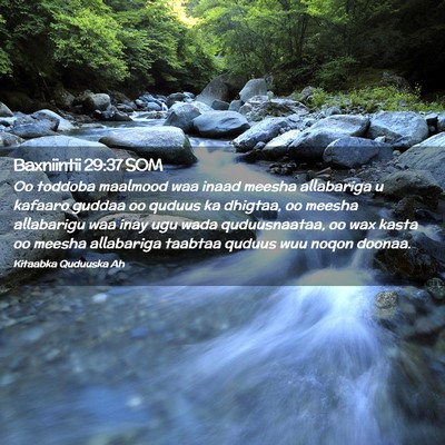 Picture 02 - Baxniintii 29:37 SOM - Oo toddoba maalmood waa inaad meesha allabariga u - Bible Verse Picture
