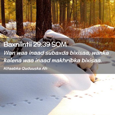 Picture 02 - Baxniintii 29:39 SOM - Wan waa inaad subaxda bixisaa, wanka kalena waa - Bible Verse Picture