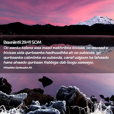 Picture 02 - Baxniintii 29:41 SOM - Oo wanka kalena waa inaad makhribka bixisaa, oo - Bible Verse Picture