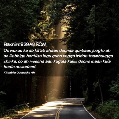 Picture 02 - Baxniintii 29:42 SOM - Oo wuxuu ka ab ka ab ahaan doonaa qurbaan joogto - Bible Verse Picture