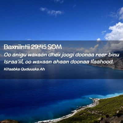 Picture 02 - Baxniintii 29:45 SOM - Oo anigu waxaan dhex joogi doonaa reer binu - Bible Verse Picture