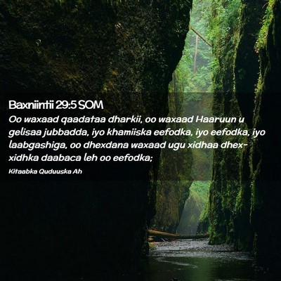 Picture 02 - Baxniintii 29:5 SOM - Oo waxaad qaadataa dharkii, oo waxaad Haaruun u - Bible Verse Picture