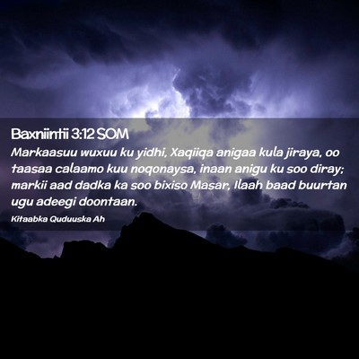 Picture 02 - Baxniintii 3:12 SOM - Markaasuu wuxuu ku yidhi, Xaqiiqa anigaa kula - Bible Verse Picture