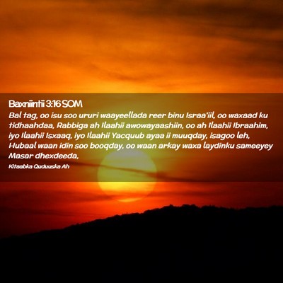 Picture 02 - Baxniintii 3:16 SOM - Bal tag, oo isu soo ururi waayeellada reer binu - Bible Verse Picture