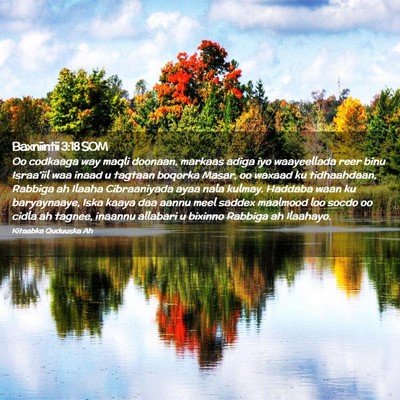 Picture 02 - Baxniintii 3:18 SOM - Oo codkaaga way maqli doonaan, markaas adiga iyo - Bible Verse Picture