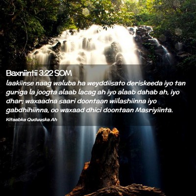Picture 02 - Baxniintii 3:22 SOM - laakiinse naag waluba ha weyddiisato deriskeeda - Bible Verse Picture