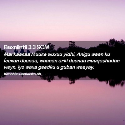 Picture 02 - Baxniintii 3:3 SOM - Markaasaa Muuse wuxuu yidhi, Anigu waan ku leexan - Bible Verse Picture