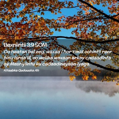Picture 02 - Baxniintii 3:9 SOM - Oo haatan bal eeg, waxaa i hor timid oohintii - Bible Verse Picture