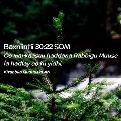 Picture 02 - Baxniintii 30:22 SOM - Oo markaasuu haddana Rabbigu Muuse la hadlay oo - Bible Verse Picture