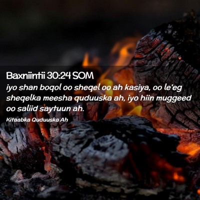 Picture 02 - Baxniintii 30:24 SOM - iyo shan boqol oo sheqel oo ah kasiya, oo le'eg - Bible Verse Picture