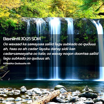 Picture 02 - Baxniintii 30:25 SOM - Oo waxaad ka samaysaa saliid lagu subkado oo - Bible Verse Picture