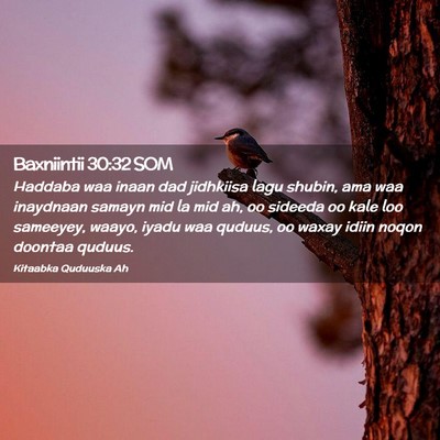 Picture 02 - Baxniintii 30:32 SOM - Haddaba waa inaan dad jidhkiisa lagu shubin, ama - Bible Verse Picture