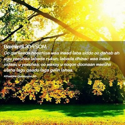 Picture 02 - Baxniintii 30:4 SOM - Oo qarkeeda hoostiisa waa inaad laba siddo oo - Bible Verse Picture