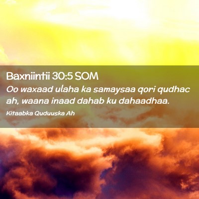 Picture 02 - Baxniintii 30:5 SOM - Oo waxaad ulaha ka samaysaa qori qudhac ah, waana - Bible Verse Picture