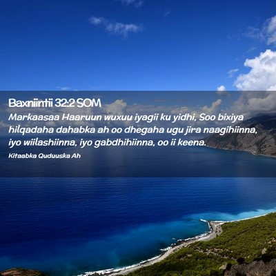 Picture 02 - Baxniintii 32:2 SOM - Markaasaa Haaruun wuxuu iyagii ku yidhi, Soo - Bible Verse Picture