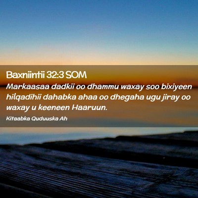 Picture 02 - Baxniintii 32:3 SOM - Markaasaa dadkii oo dhammu waxay soo bixiyeen - Bible Verse Picture