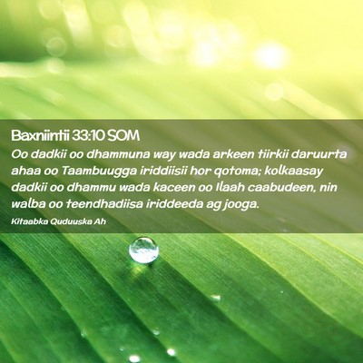 Picture 02 - Baxniintii 33:10 SOM - Oo dadkii oo dhammuna way wada arkeen tiirkii - Bible Verse Picture