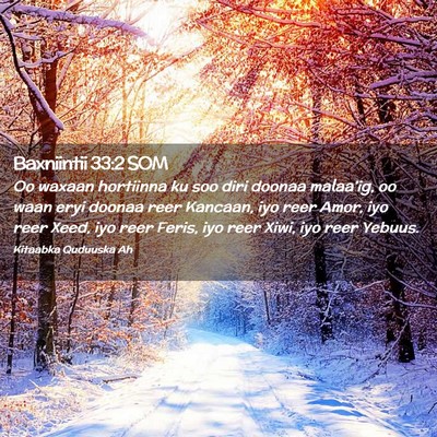 Picture 02 - Baxniintii 33:2 SOM - Oo waxaan hortiinna ku soo diri doonaa malaa'ig, - Bible Verse Picture