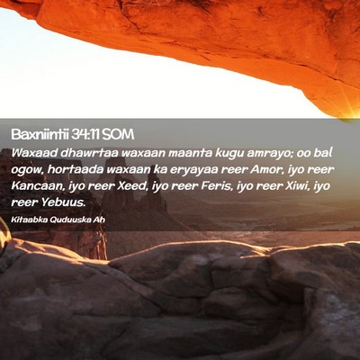 Picture 02 - Baxniintii 34:11 SOM - Waxaad dhawrtaa waxaan maanta kugu amrayo; oo bal - Bible Verse Picture
