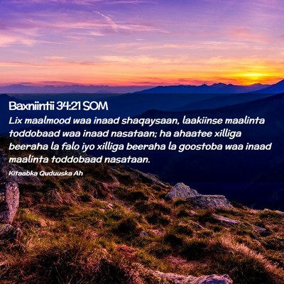 Picture 02 - Baxniintii 34:21 SOM - Lix maalmood waa inaad shaqaysaan, laakiinse - Bible Verse Picture