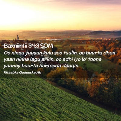 Picture 02 - Baxniintii 34:3 SOM - Oo ninna yuusan kula soo fuulin, oo buurta dhan - Bible Verse Picture
