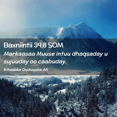 Picture 02 - Baxniintii 34:8 SOM - Markaasaa Muuse intuu dhaqsaday u sujuuday oo - Bible Verse Picture