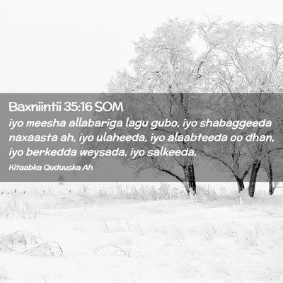 Picture 02 - Baxniintii 35:16 SOM - iyo meesha allabariga lagu gubo, iyo shabaggeeda - Bible Verse Picture