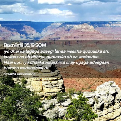 Picture 02 - Baxniintii 35:19 SOM - iyo dharka lagaga adeegi lahaa meesha quduuska - Bible Verse Picture