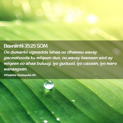 Picture 02 - Baxniintii 35:25 SOM - Oo dumarkii xigmadda lahaa oo dhammu waxay - Bible Verse Picture