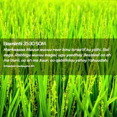 Picture 02 - Baxniintii 35:30 SOM - Markaasaa Muuse wuxuu reer binu Israa'iil ku - Bible Verse Picture