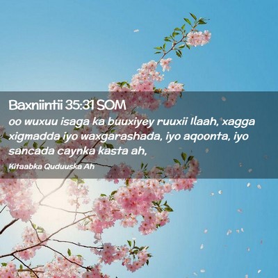Picture 02 - Baxniintii 35:31 SOM - oo wuxuu isaga ka buuxiyey ruuxii Ilaah, xagga - Bible Verse Picture