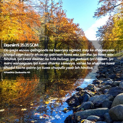 Picture 02 - Baxniintii 35:35 SOM - Oo iyaga wuxuu qalbigooda ka buuxiyey xigmad, - Bible Verse Picture