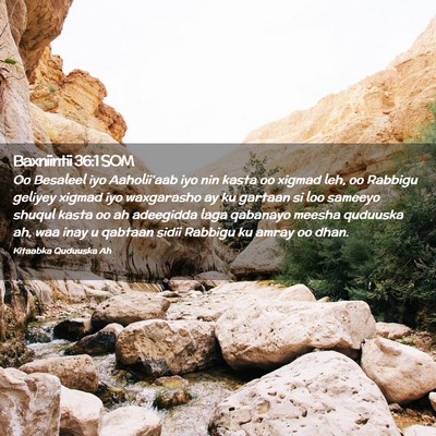 Picture 02 - Baxniintii 36:1 SOM - Oo Besaleel iyo Aaholii'aab iyo nin kasta oo - Bible Verse Picture
