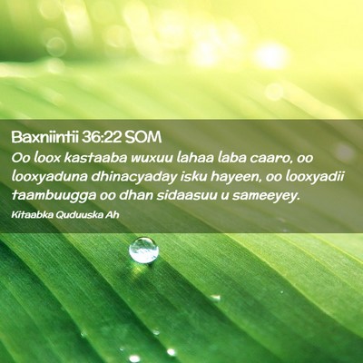 Picture 02 - Baxniintii 36:22 SOM - Oo loox kastaaba wuxuu lahaa laba caaro, oo - Bible Verse Picture