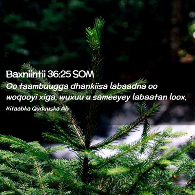 Picture 02 - Baxniintii 36:25 SOM - Oo taambuugga dhankiisa labaadna oo woqooyi xiga, - Bible Verse Picture