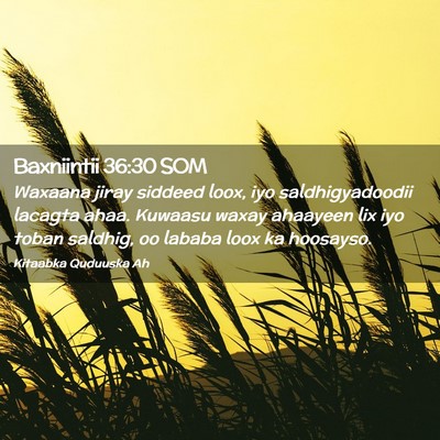 Picture 02 - Baxniintii 36:30 SOM - Waxaana jiray siddeed loox, iyo saldhigyadoodii - Bible Verse Picture